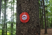 DSC_0030.JPG